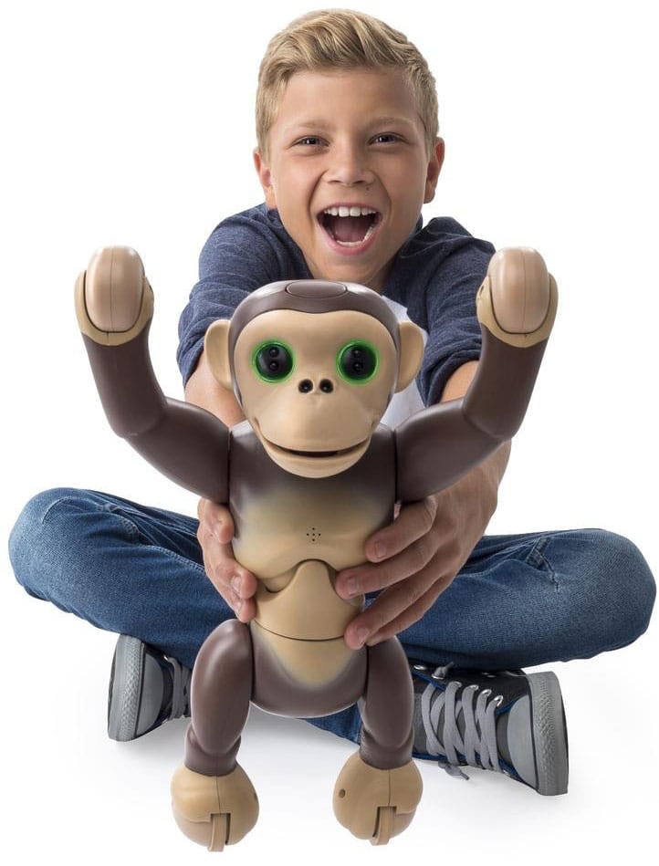 Робот обезьяна. Обезьянка робот. Робот обезьяна игрушка. Обезьянка зуммер. Интерактивная игрушка обезьяна Spin Master.